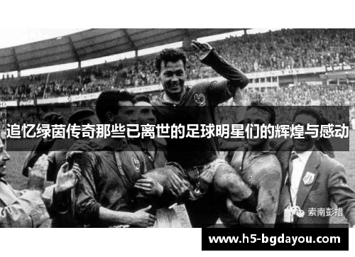 追忆绿茵传奇那些已离世的足球明星们的辉煌与感动